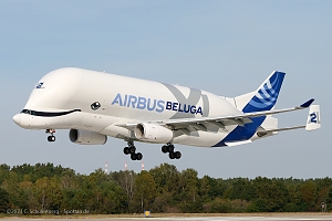 A337 Beluga