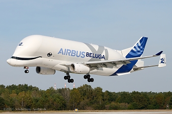 A337 Beluga